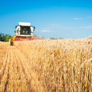 Seguro para el agro